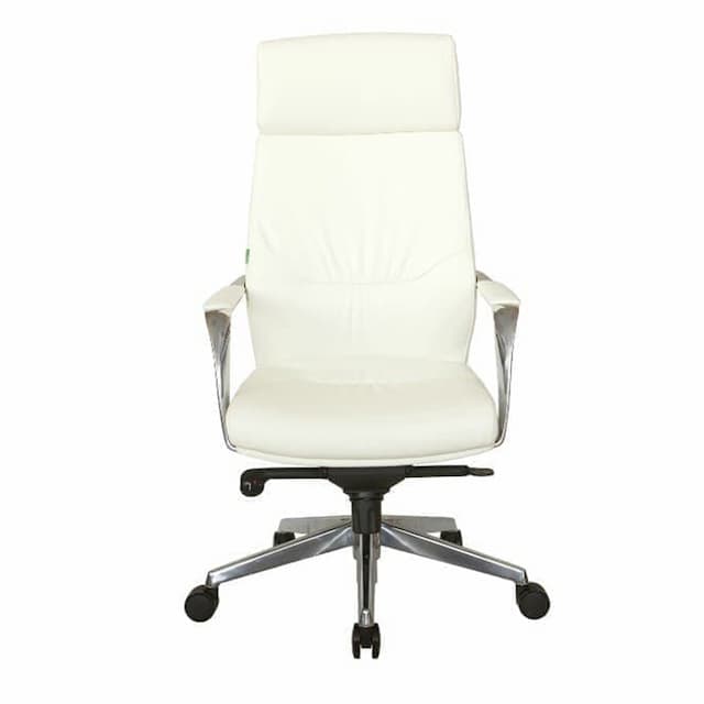 Кресло RV DESIGN Alvaro A1815 Белый (6207)